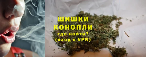 индика Новокубанск