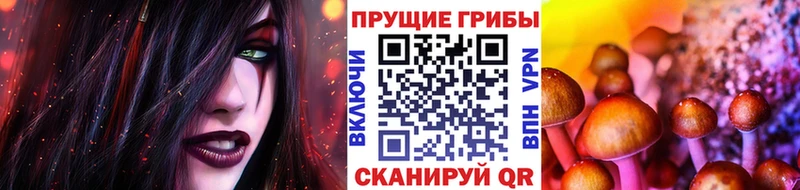 Галлюциногенные грибы мицелий  хочу   Пудож 